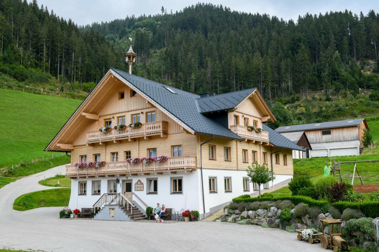 Kerschbaumerhof Шладмінг Екстер'єр фото